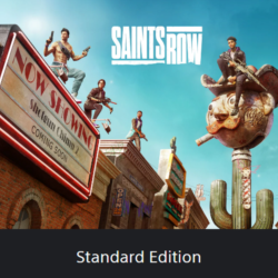 Saints Row    PS4/PS5   ТУРЦИЯ