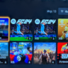Аккаунт с игрой EA FC 24 + RDR2 (не аренда, а навсегда)
