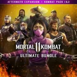 Mortal Kombat 11 Ultimate Add-On Bundle Steam Key