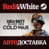 Call of Duty®: Black Ops Cold War - Standard Edition