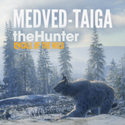 THEHUNTER: CALL OF THE WILD - MEDVED-TAIGA XBOX КЛЮЧ🔑