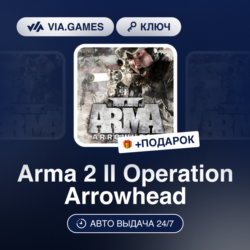 Arma 2 II Operation Arrowhead DLC (Steam Ключ) РФ-СНГ-МИР   ПОДАРОК