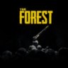 The Forest PS4 ПСН PLAYSTATION