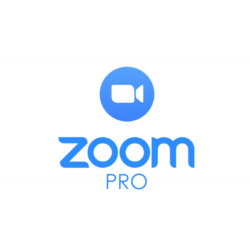 Zoom one pro  100P meeting 1 месяц(1GB) subscribe