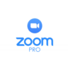 Zoom one pro  100P meeting 1 месяц(1GB) subscribe
