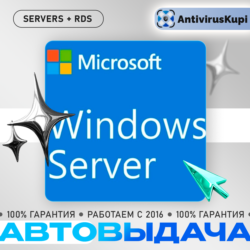 Windows Server Standard /  Datacenter / RDS