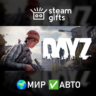DayZ Deluxe Edition МИР АВТО