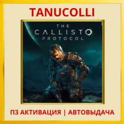 ☀️ The Callisto Protocol (PS4/RU) П3 Активация