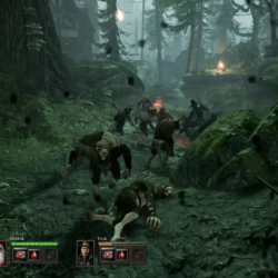Warhammer: End Times - Vermintide КЛЮЧ🔑 STEAM РФ СНГ