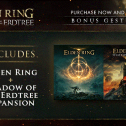 ELDEN RING Shadow of the Erdtree Edition steam РФ\МИР