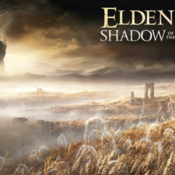 ⚔️ELDEN RING Shadow of the Erdtree ⚔️ Steam Gift⚔️