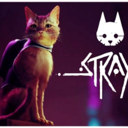 🍓 Stray (PS4/PS5/RU) П3 - Активация
