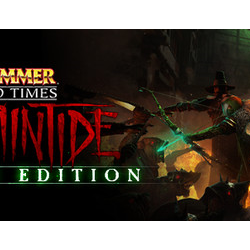 Warhammer: End Times - Vermintide Ultimate steam Россия