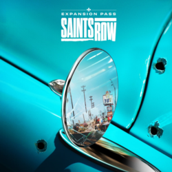 Saints Row Expansion Pass   EPIC GAMES    (PC)
