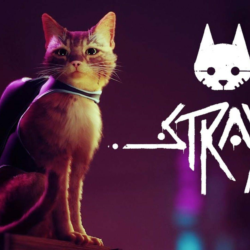 ⭐️Stray⭐️Xbox one & series X | S   PC