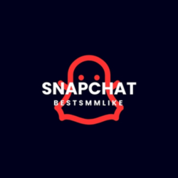 Подписчики в Snapchat | Старт 0-6 часов