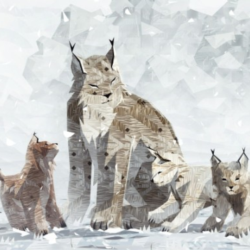 SHELTER 2  Steam key Ru Cis