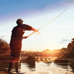 The Catch: Carp & Coarse Fishing | XBOX PC | На любой аккаунт