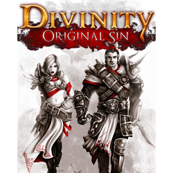 Divinity: Original Sin STEAM GIFT   МИР   ВСЕ СТРАНЫ