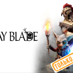 🍓 Stray Blade (PS5/RU) П3 - Активация