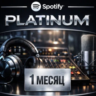 SPOTIFY PLATINUM 1 МЕСЯЦ НА ВАШ АККАУНТ
