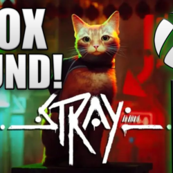 Stray(Xbox) игры  общий аккаунт