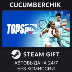 TopSpin 2K25✅STEAM GIFT AUTO✅RU МИР