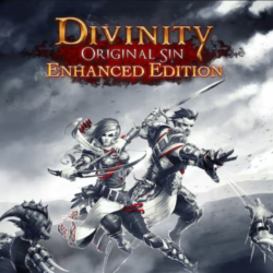 Divinity: Original Sin   PS Турция На ВАШ аккаунт!