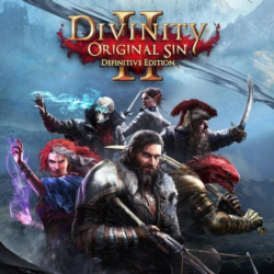 Divinity: Original Sin 2 PS Турция На ВАШ аккаунт!
