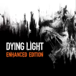 Dying Light  PS Турция На ВАШ аккаунт!