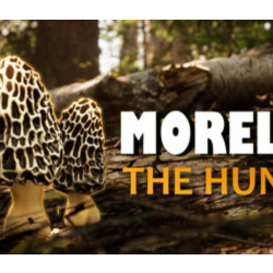 Morels: The Hunt 2 💎 АВТОДОСТАВКА STEAM GLOBAL МГНОВЕННО ЛИЦЕНЗИЯ