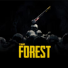 The Forest PS Турция На ВАШ аккаунт!