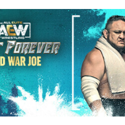 AEW: Fight Forever - World War Joe DLC * STEAM RU ⚡