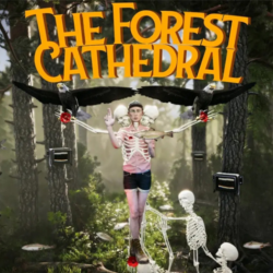 The Forest Cathedral (steam key)
