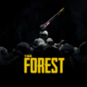 The Forest  PS4/PS5    Турция