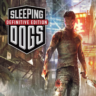 Sleeping Dogs Definitive Edition  PS4/PS5    Турция