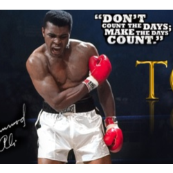 tc-boxing.com инвайт (Очень редкий)