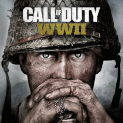 Call of Duty: WWII GOLD Edition  PS4/PS5    Турция