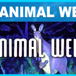 ANIMAL WELL ✔️(STEAM) АККАУНТ