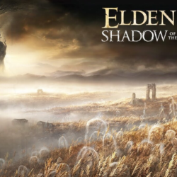 🔥ELDEN RING Shadow of the Erdtree(Xbox) Игры общий акк