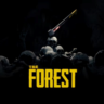 The Forest    PS4/PS5    УКРАИНА/ТУРЦИЯ