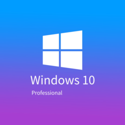 Windows 10 Professional OEM