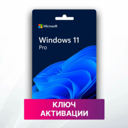 Windows 11 Professional OEM