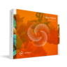 iZotope Neutron 4 Elements [Product Portal Serial]