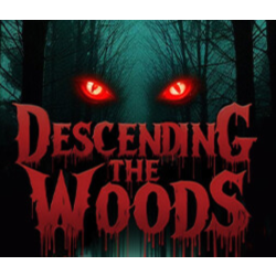 Descending The Woods * STEAM RU ⚡ АВТО 💳0%