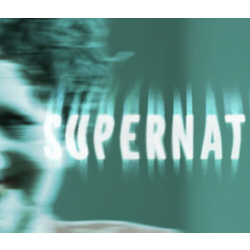 Supernatural⚡АВТОДОСТАВКА Steam RU/BY/KZ/UA