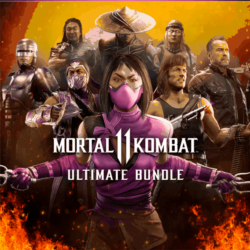 🔵Mortal Kombat 11 Ultimate Add-On Bundle | PS4/PS5 Турция