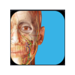 Human Anatomy Atlas 2025 Complete 3D Microsoft Store