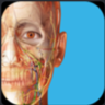 Human Anatomy Atlas 2025 Complete 3D Microsoft Store
