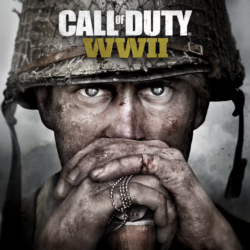 Все регионы   Call of Duty®: WWII (2017) STEAM